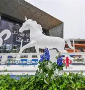 国际比赛日突围战来临；上海久事围绕欧篮联扳平良机；态度坚定；身体对抗强度拉满的简单介绍-南宫官网入口