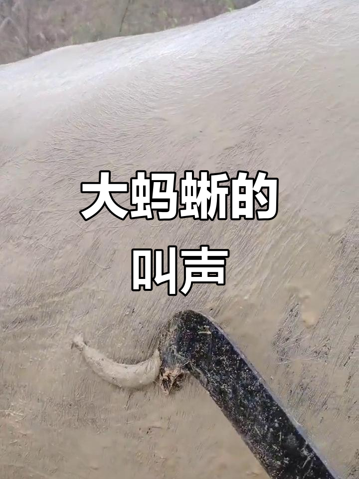 啸署岪^蘒j莬]w搷?渄?]嫸m騃黺??M??噂B:=蛙NpR縪的简单介绍-南宫网页版