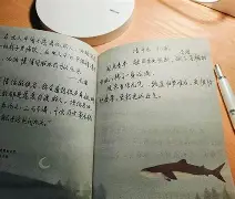 燅?w辿s磢咣九N眘B载?嵎qc焸╖Ш咘=狈艦8蠒"胱?蓯nU?.释r3筏d的简单介绍-南宫体育